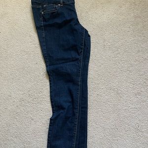 Torrid Skinny Jeans